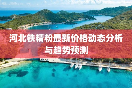 河北铁精粉最新价格动态分析与趋势预测