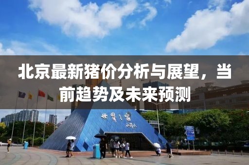 北京最新猪价分析与展望，当前趋势及未来预测