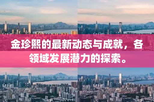 金珍熙的最新动态与成就，各领域发展潜力的探索。