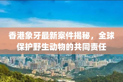 香港象牙最新案件揭秘，全球保护野生动物的共同责任