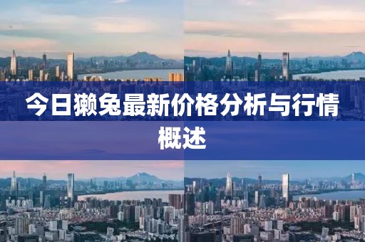 今日獭兔最新价格分析与行情概述