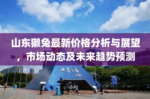 山东獭兔最新价格分析与展望，市场动态及未来趋势预测