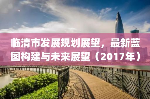 临清市发展规划展望，最新蓝图构建与未来展望（2017年）