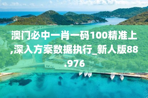 澳门必中一肖一码100精准上,深入方案数据执行_新人版88.976