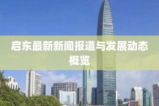 启东最新新闻报道与发展动态概览
