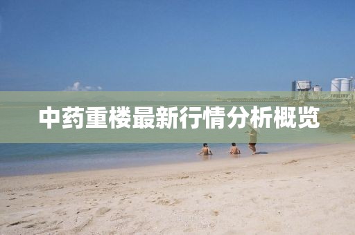 澳门一码一肖 第23页