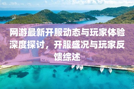 网游最新开服动态与玩家体验深度探讨，开服盛况与玩家反馈综述