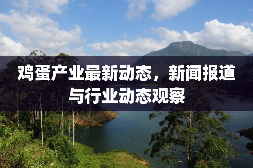 鸡蛋产业最新动态，新闻报道与行业动态观察