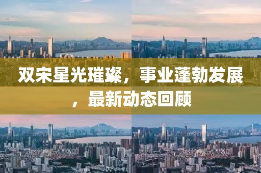 双宋星光璀璨，事业蓬勃发展，最新动态回顾
