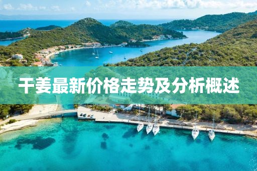 干姜最新价格走势及分析概述
