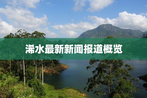 浠水最新新闻报道概览