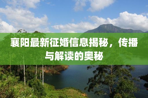 襄阳最新征婚信息揭秘，传播与解读的奥秘