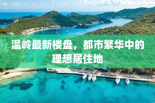 温岭最新楼盘，都市繁华中的理想居住地