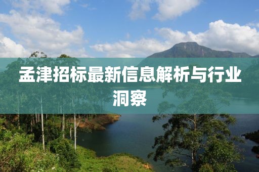 孟津招标最新信息解析与行业洞察