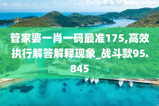 管家婆一肖一码最准175,高效执行解答解释现象_战斗款95.845