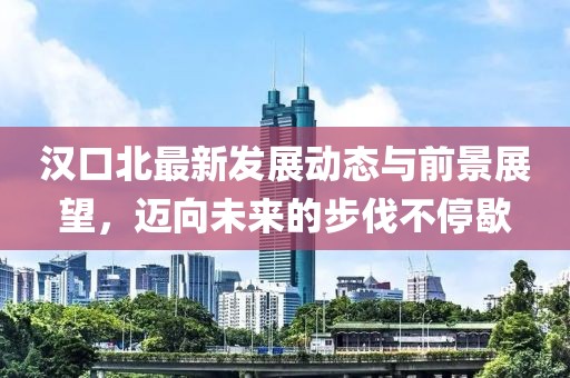 汉口北最新发展动态与前景展望，迈向未来的步伐不停歇