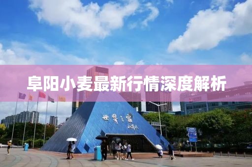 一马一肖一码一肖 第17页