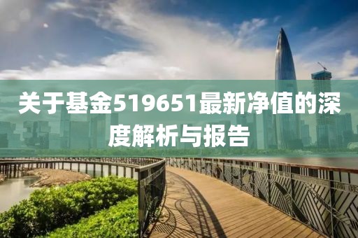 关于基金519651最新净值的深度解析与报告