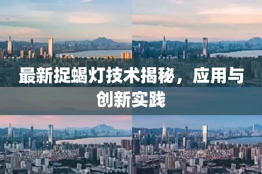 最新捉蝎灯技术揭秘，应用与创新实践
