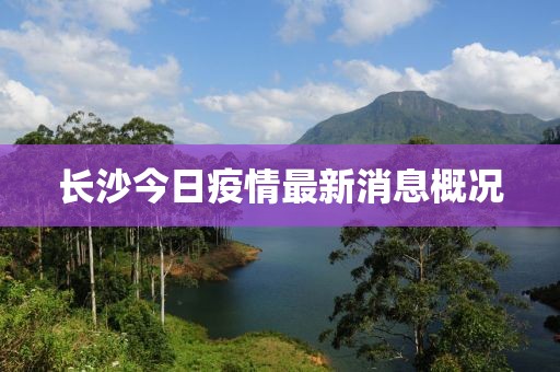 长沙今日疫情最新消息概况
