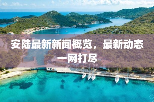 安陆最新新闻概览，最新动态一网打尽