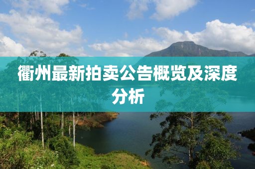 衢州最新拍卖公告概览及深度分析