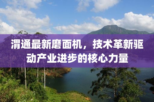 渭通最新磨面机，技术革新驱动产业进步的核心力量