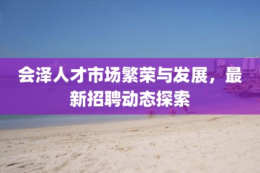 会泽人才市场繁荣与发展，最新招聘动态探索
