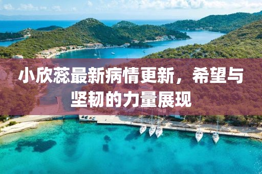小欣蕊最新病情更新，希望与坚韧的力量展现