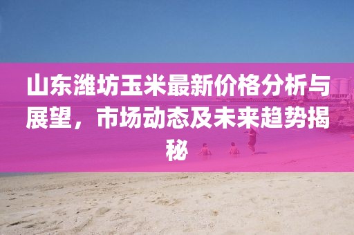 山东潍坊玉米最新价格分析与展望，市场动态及未来趋势揭秘