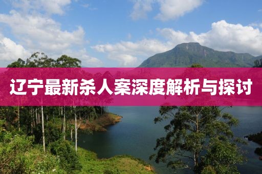 辽宁最新杀人案深度解析与探讨
