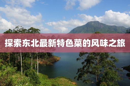 探索东北最新特色菜的风味之旅