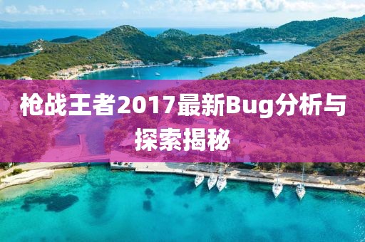 枪战王者2017最新Bug分析与探索揭秘