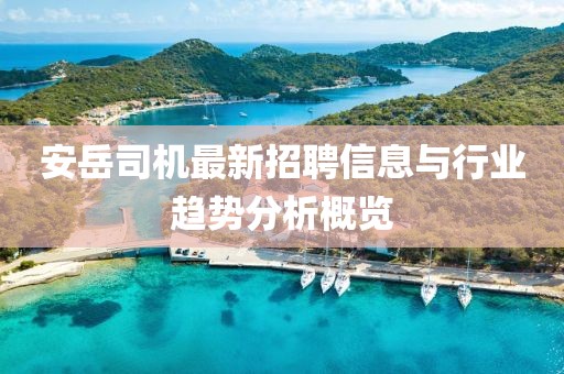安岳司机最新招聘信息与行业趋势分析概览