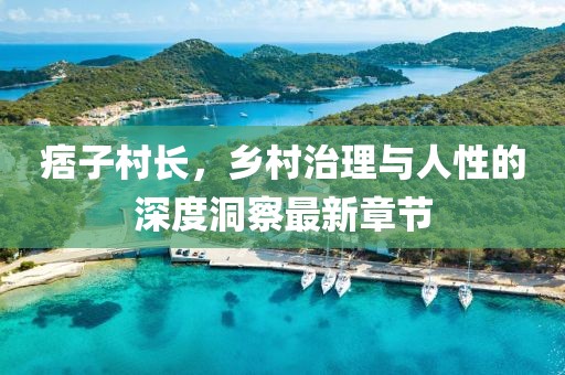 痞子村长，乡村治理与人性的深度洞察最新章节
