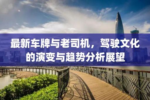 最新车牌与老司机，驾驶文化的演变与趋势分析展望