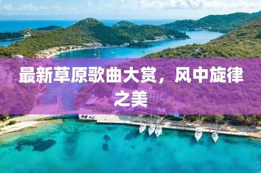 最新草原歌曲大赏，风中旋律之美