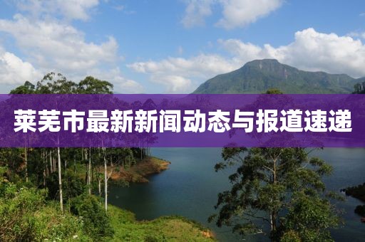 莱芜市最新新闻动态与报道速递