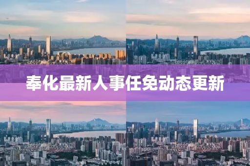 奉化最新人事任免动态更新