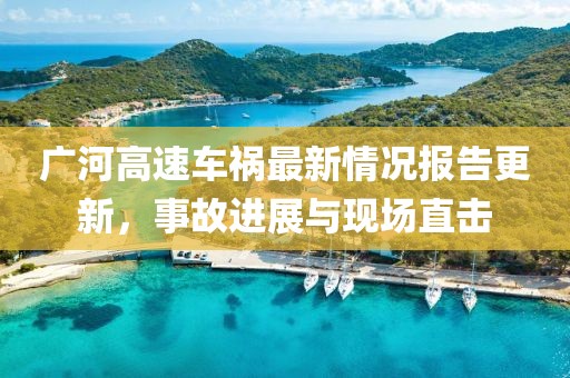 广河高速车祸最新情况报告更新，事故进展与现场直击