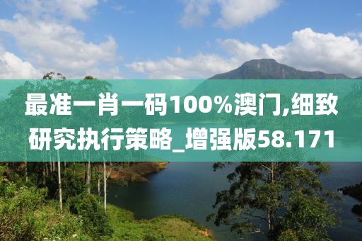 最准一肖一码100%澳门,细致研究执行策略_增强版58.171