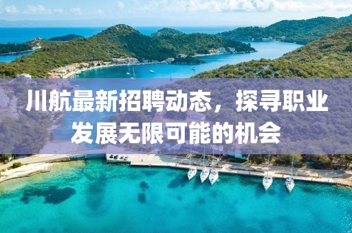 川航最新招聘动态，探寻职业发展无限可能的机会