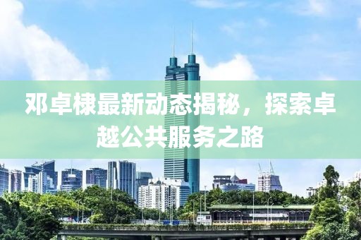 邓卓棣最新动态揭秘，探索卓越公共服务之路