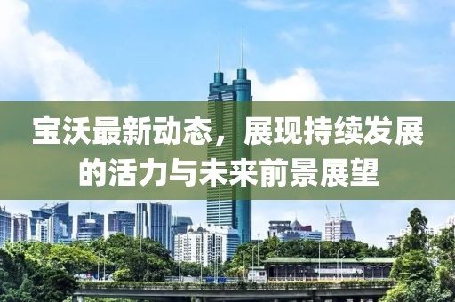 宝沃最新动态，展现持续发展的活力与未来前景展望
