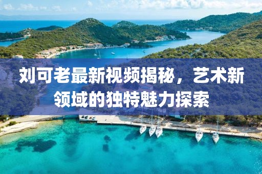刘可老最新视频揭秘，艺术新领域的独特魅力探索
