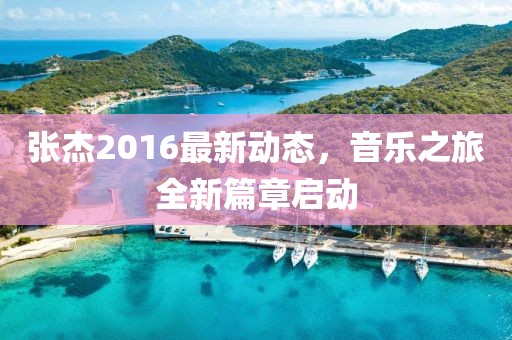 张杰2016最新动态，音乐之旅全新篇章启动