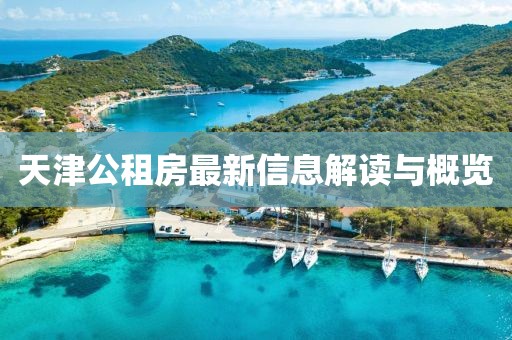 天津公租房最新信息解读与概览