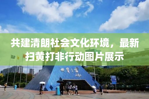 共建清朗社会文化环境，最新扫黄打非行动图片展示