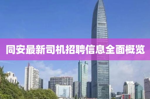 同安最新司机招聘信息全面概览