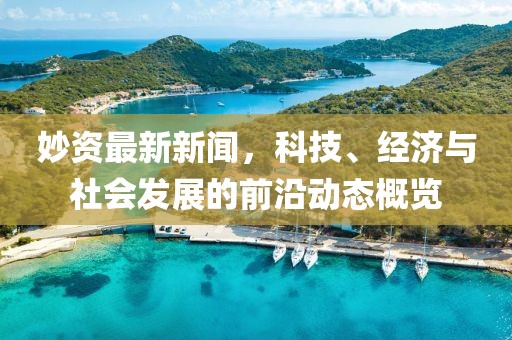 妙资最新新闻，科技、经济与社会发展的前沿动态概览